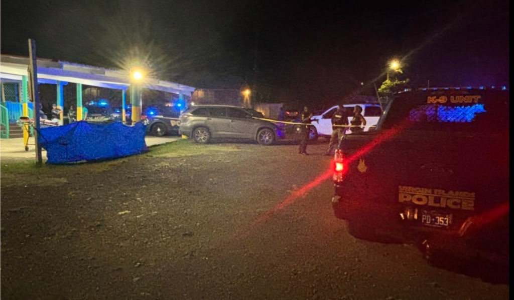 GROVE PLACE BUST: St. Croix Man Hit With Six Felony Counts Over ‘Scratched-Off’ Glock Near Eulalie Rivera School